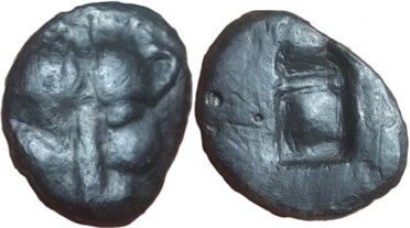 ������: 000-1119