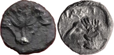 ������: 000-2063