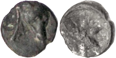 ������: 000-2081