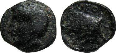 ������: 000-2110