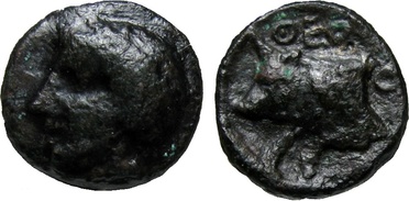 ������: 000-2110