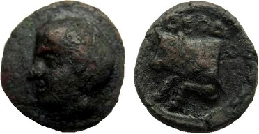 ������: 000-2110