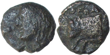 ������: 000-2110