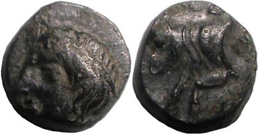 ������: 000-2110