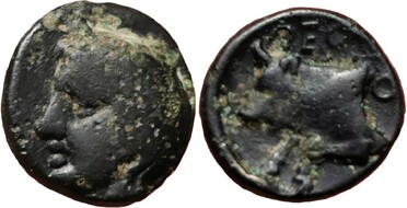 ������: 000-2110