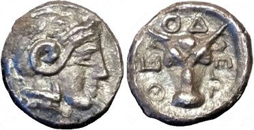 ������: 000-2113