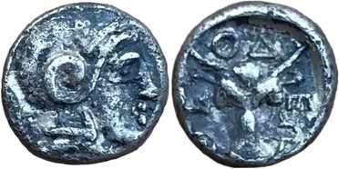 ������: 000-2113