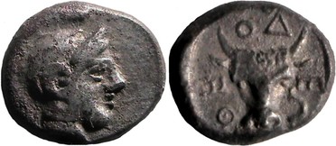 ������: 000-2156