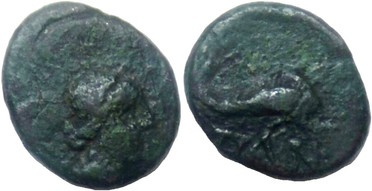 ������: 000-3096