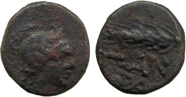 ������: 000-3098