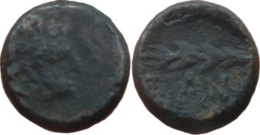 ������: 000-3098