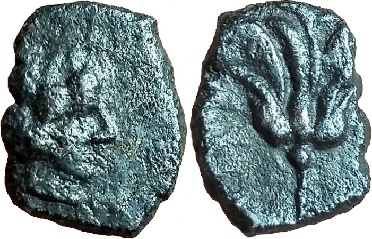 ������: 000-3134