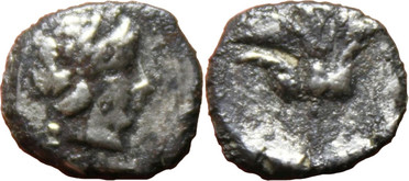 ������: 000-3134