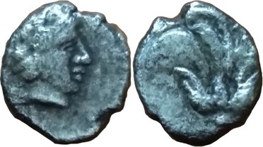 ������: 000-3134