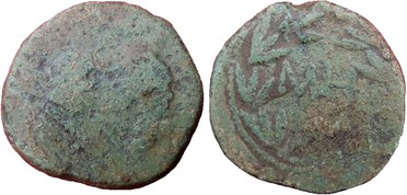 ������: 000-4501