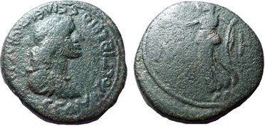 ������: 000-4599