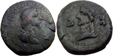 ������: 000-4954