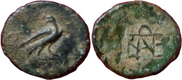 ������: 000-4968