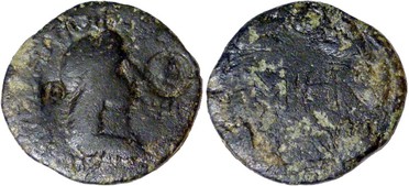 ������: 000-5109