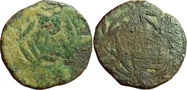 ������: 000-5155