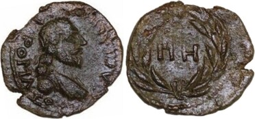 ������: 000-5169