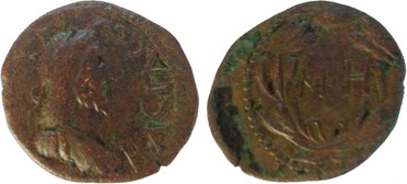 ������: 000-5171