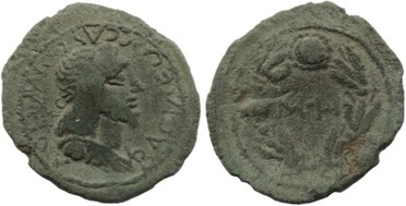 ������: 000-5175