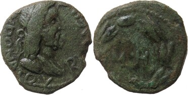 ������: 000-5178