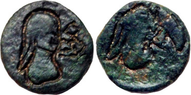 ������: 000-5179