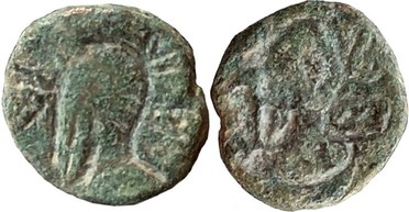 ������: 000-5179