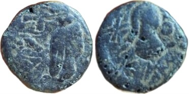 ������: 000-5179