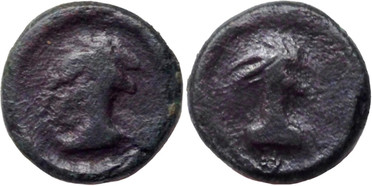 ������: 000-5188