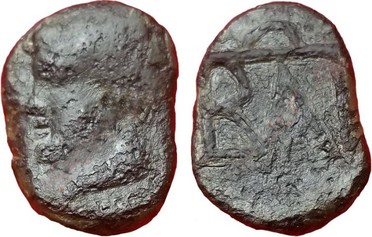 ������: 000-5217