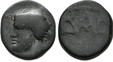 ������: 000-5217