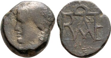 ������: 000-5217