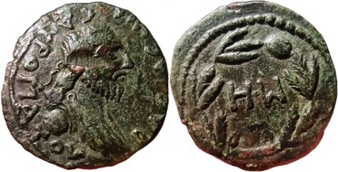 ������: 000-5271