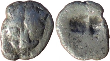 ������: 005-1008