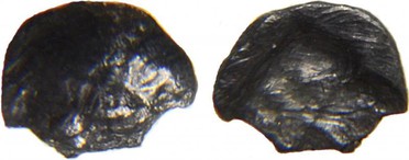 ������: 021-2089