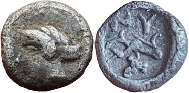 ������: 063-2220