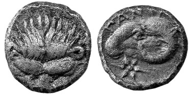 ������: 071-2049