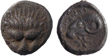 ������: 071-2049