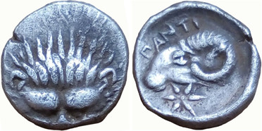 ������: 071-2049