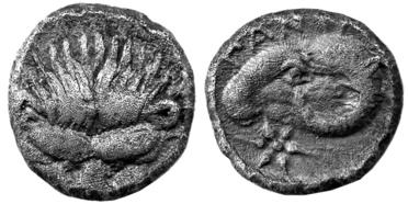 ������: 071-2049