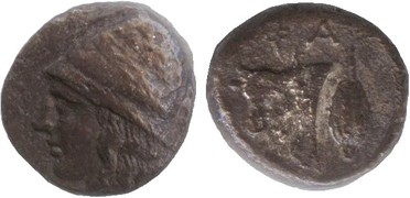 ������: 078-2031