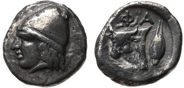 ������: 078-2031