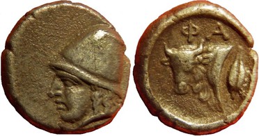 ������: 078-2031