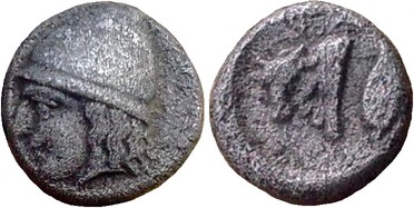 ������: 078-2031