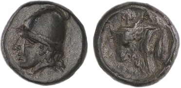 ������: 078-2031