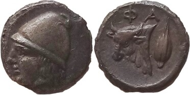 ������: 078-2031