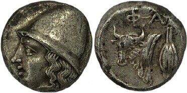 ������: 078-2031